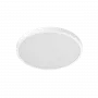 Xiaomi BHR07RIGL Smart Ceiling Light D20 kattovalaisin, 17 W, 900 lm, 2700-5700K, tutka-anturi, IP50, 250 x 60 mm, valkoinen