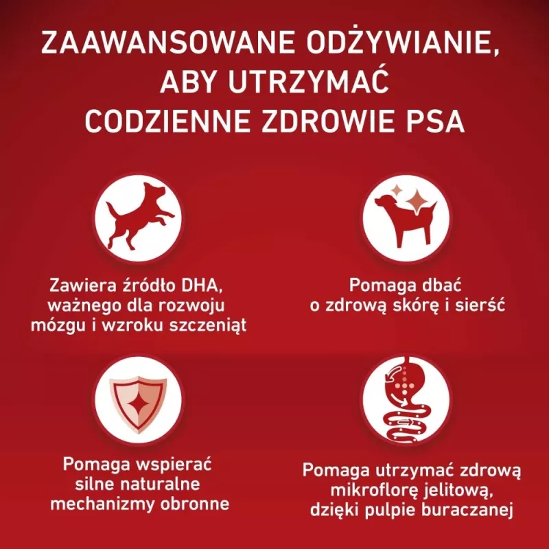 PURINA ONE MED/MAX Junior Kana & riisi 2,5kg