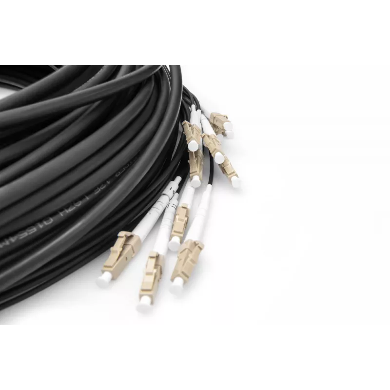 Breakout-kaapeli Digitus DK-2433CU030BK-BBB 30 m OM4 12 kuitua LC/UPC