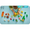 LEGO DUPLO 10452 telttaretki