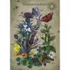 Ravensburger palapeli Circle of Life Butterfly 1000 palaa