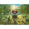 Mark Fredrickson: dog love - ruskea labradorinkoira viileässä vedessä, palapeli 1000 palaa