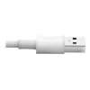 Eaton Tripp Lite Series USB-A - Lightning synkronointi-/latauskaapeli (M/M) - MFi-sertifioitu, valkoinen, 6 ft. (1,8 m) - data-/virtakaapeli - USB uros - Lightning