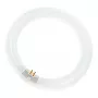 Osram pyöreä loistelamppu L 40W/840 C G10Q neutraalinvalkoinen T9