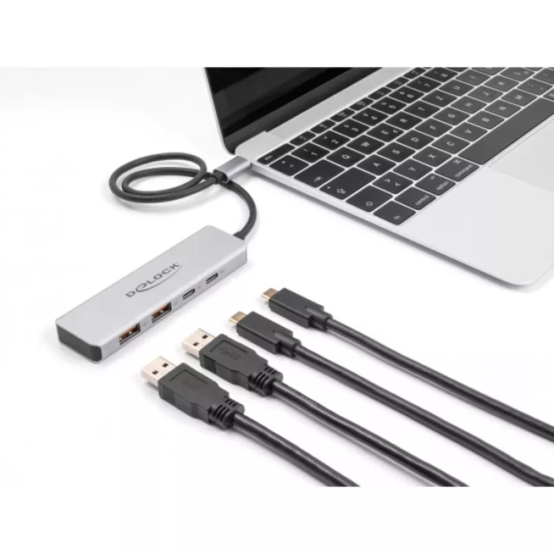 DeLOCK USB-keskitin USB Type-C 10 Gbit/s 2x Type-A 2x Type-C 35 cm kaapeli