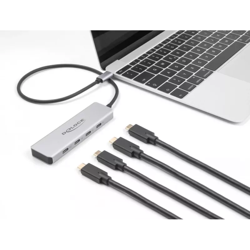 DeLOCK USB Type-C -keskitin 10 Gbps 4 porttia alumiini harmaa