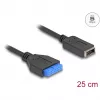 DeLOCK USB-kaapeli urosliitin-naarasliitin sisäiseen USB Type-E Key A -liitäntään 25 cm