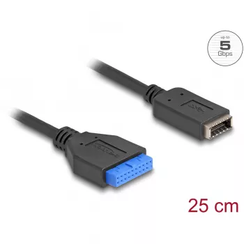 DeLOCK USB-kaapeli urosliitin-naarasliitin sisäiseen USB Type-E Key A -liitäntään 25 cm