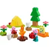 LEGO DUPLO 10452 telttaretki