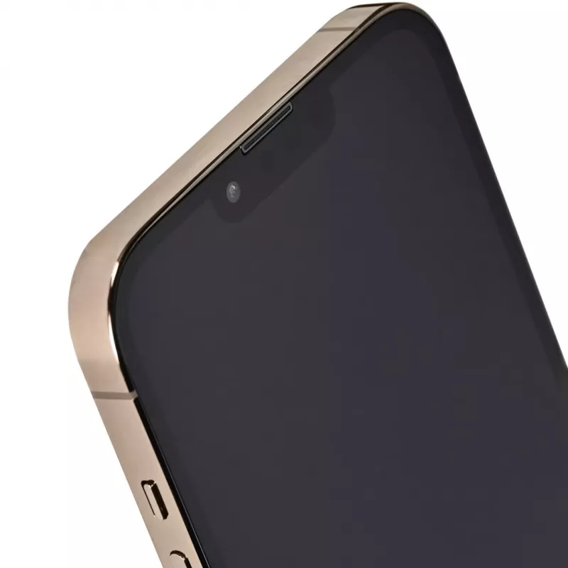 Apple iPhone 13 Pro Max 128 GB Gold (REMADE by 2Bnew) 2Y Remade / kunnostettu