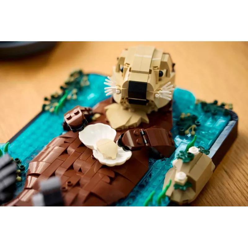 LEGO IDEAS 21366 Kelluvat saukot