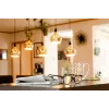 LED-lamppu Segula 55058 lämmin valkoinen 1900 K 6 W E27
