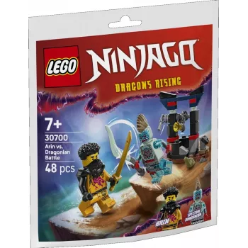 Rakennuslelu LEGO-sarja 30700 Arins Kampf mit dem Drachenmann Polybag (minisarja)