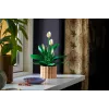 LEGO BOTANICALS 11504 Rauhanlilja