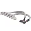 Korttipaikkakaapeli USB 2.0 HighSpeed tyyppi 2xIDC (5pin)/4xUSB A M/F harmaa 0,25 m