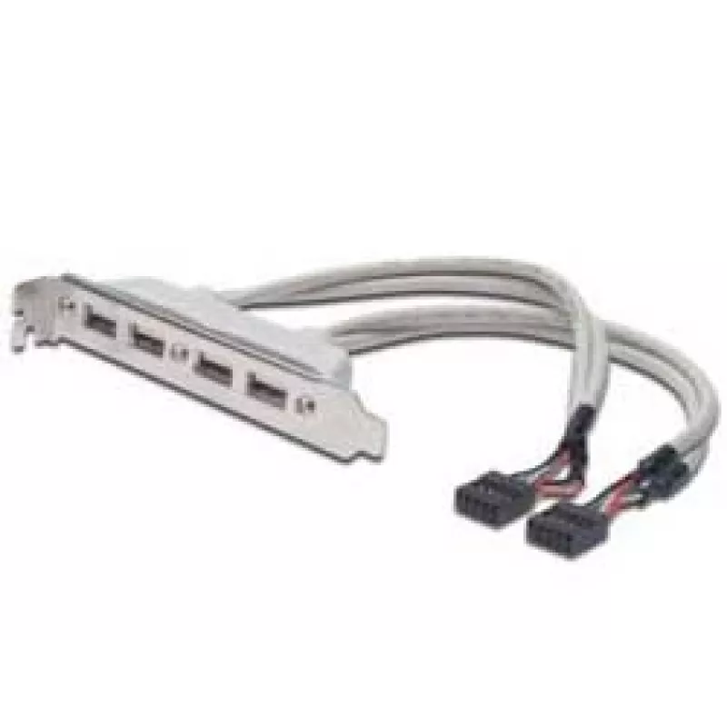 Korttipaikkakaapeli USB 2.0 HighSpeed tyyppi 2xIDC (5pin)/4xUSB A M/F harmaa 0,25 m
