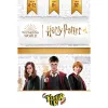 Time's Up Harry Potter, tietovisapeli