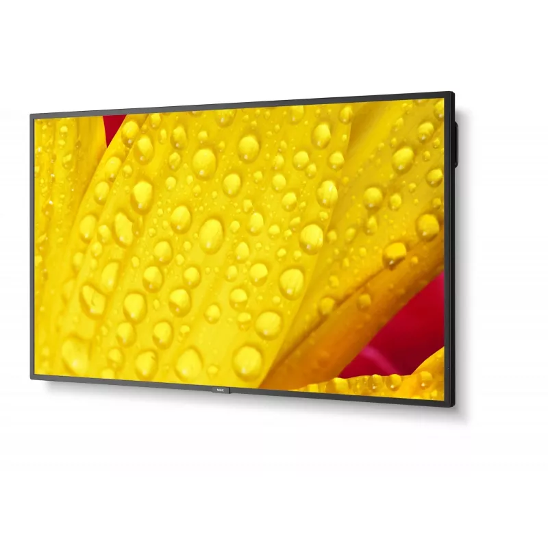 NEC MultiSync M651-2 kioskidesign 165,1 cm (65