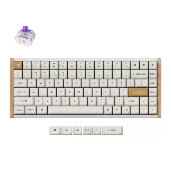 Langaton mekaaninen näppäimistö Keychron K2 Special Edition valkoinen RGB-taustavalaistus, kompakti 75 %:n asettelu