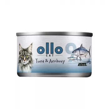 Ollo tonnikala sardelli liemessä nro 9 70 g