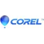 Corel PaintShop Pro 2023 - Box-Pack - 1 käyttäjä (Mini-Box) - Win - monikielinen - Eurooppa