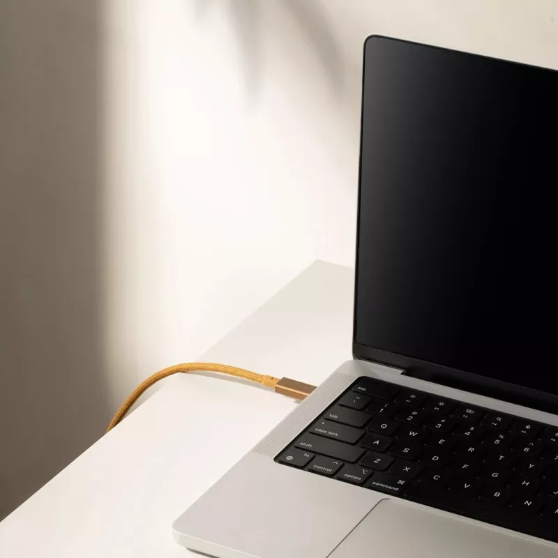 Kaapeli USB-C - USB-C Native Union Belt Cable Pro 240W, 2,4 m, USB 2.0, 0,48 Gbit/s, vihreä