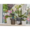 Käsisumutin Gardena 11112-20