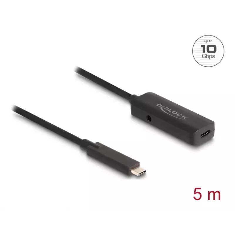 USB-kaapeli DeLOCK 80028 5 m USB-C musta