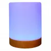 Tunnelmavalo RealPower 200 RGB kaukosäätimellä