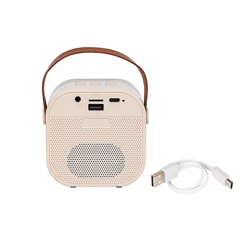 Karaoke-kaiutin, KARAOKE RGB Bluetooth -kaiutin, 30W