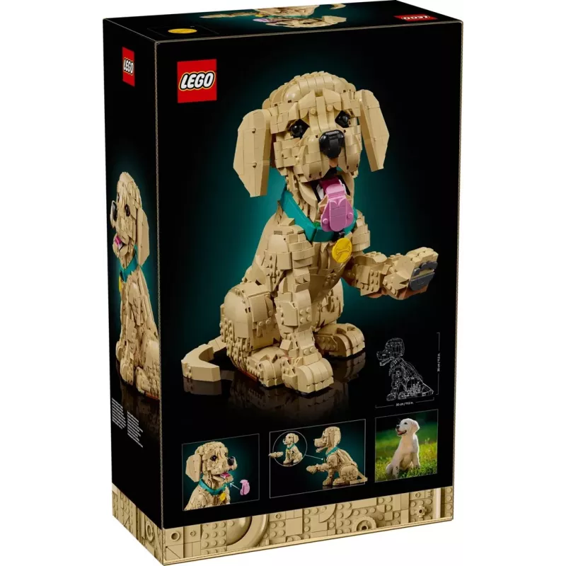 LEGO ICONS 11384 kultainennoutaja pentu