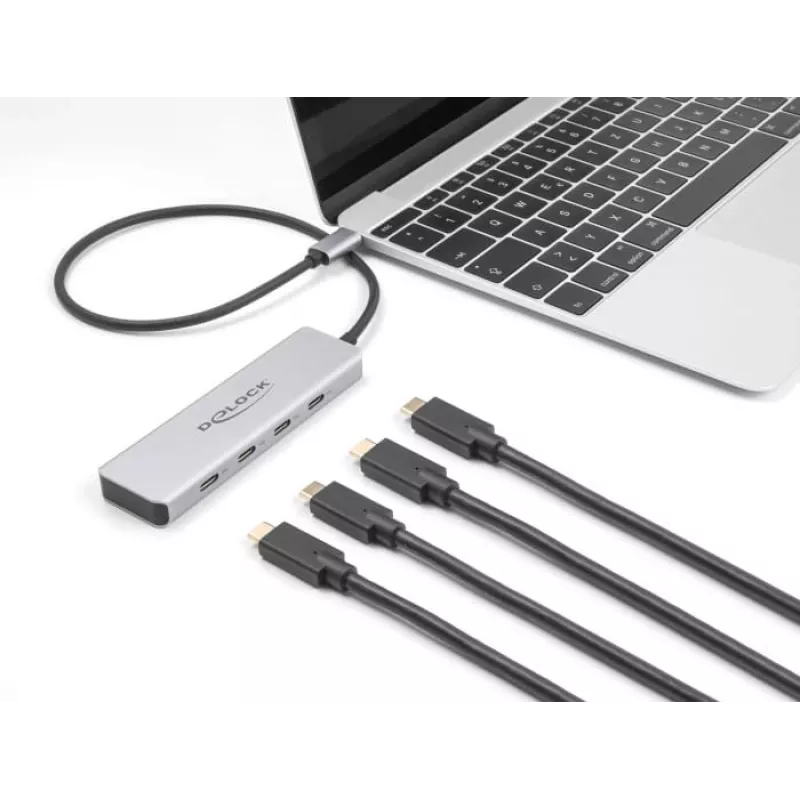 DeLOCK USB Type-C -keskitin 10 Gbps 4 porttia alumiini harmaa