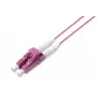 DIGITUS Professional - verkkokaapeli - LC monimuoto (M)