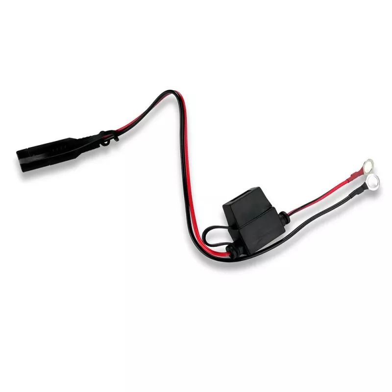 Auton akkulaturi everActive CBC1 6V/12V