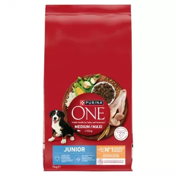 PURINA ONE MED/MAX Junior kana & riisi 7kg
