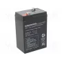 Lyijyakku europower EP4.5-6 6V 4,5Ah