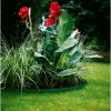 Gardena 00538-20 puutarhatyökalu vihreä