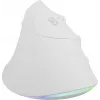 NATEC Crake 2 Pro hiiri yleinen oikeakätisille USB Type-A optinen 12800 DPI
