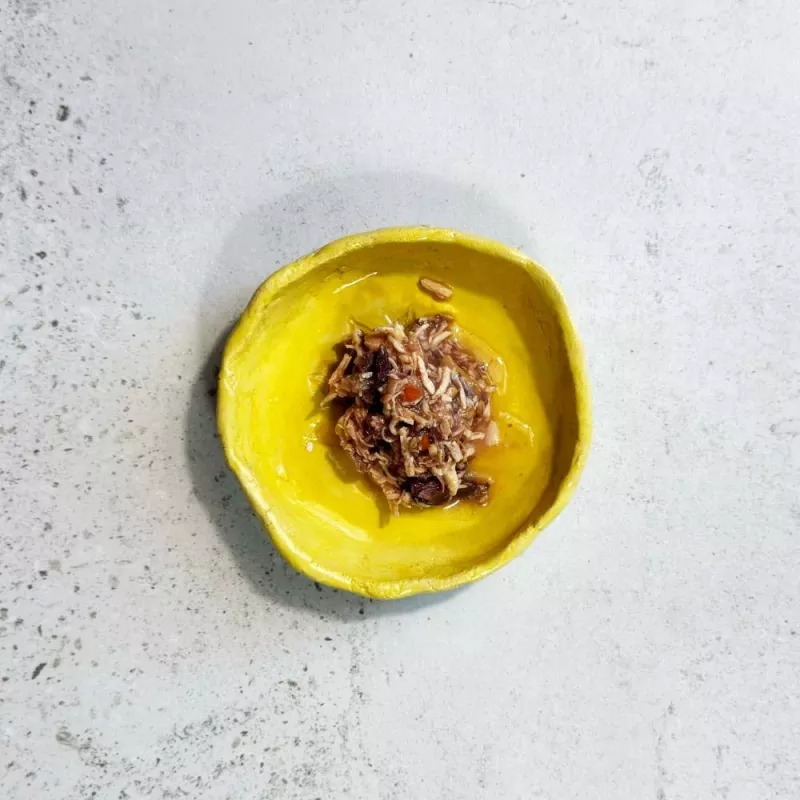 Ollo tonnikala ja kana lohi liemessä nro 2 70 g