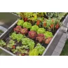 Putkitulppa Gardena 13215-20 sopii tippukastelujärjestelmään