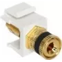 Keystone-moduuli DeLOCK 86303