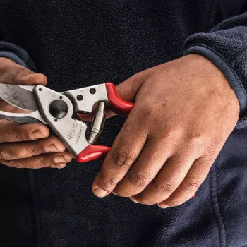 Felco | vasenkätinen oksasaha | FELCO 16
