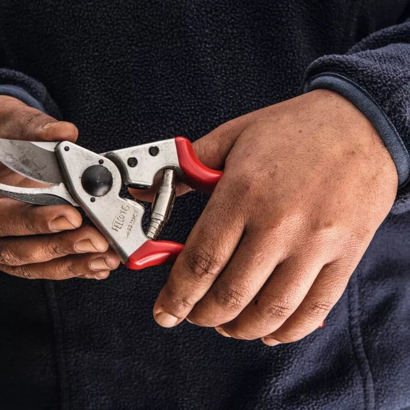 Felco | vasenkätinen oksasaha | FELCO 16