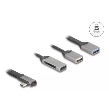DeLOCK 64303 USB 3.2 Gen 1 Type-C -keskitin 5000 Mbit/s harmaa