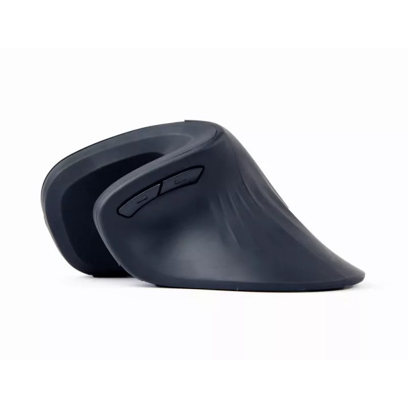 Gembird MUSW-ERGO-03 hiiri koti oikeakätinen RF langaton optinen 1600 DPI