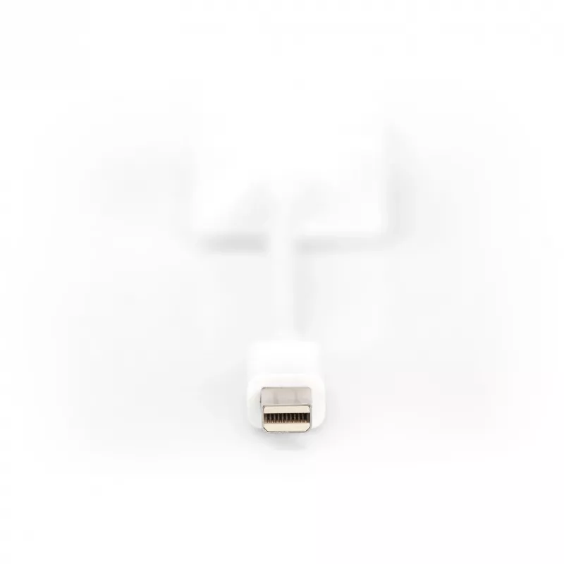 DisplayPort-sovitinkaapeli Digitus DB-340407-001-W