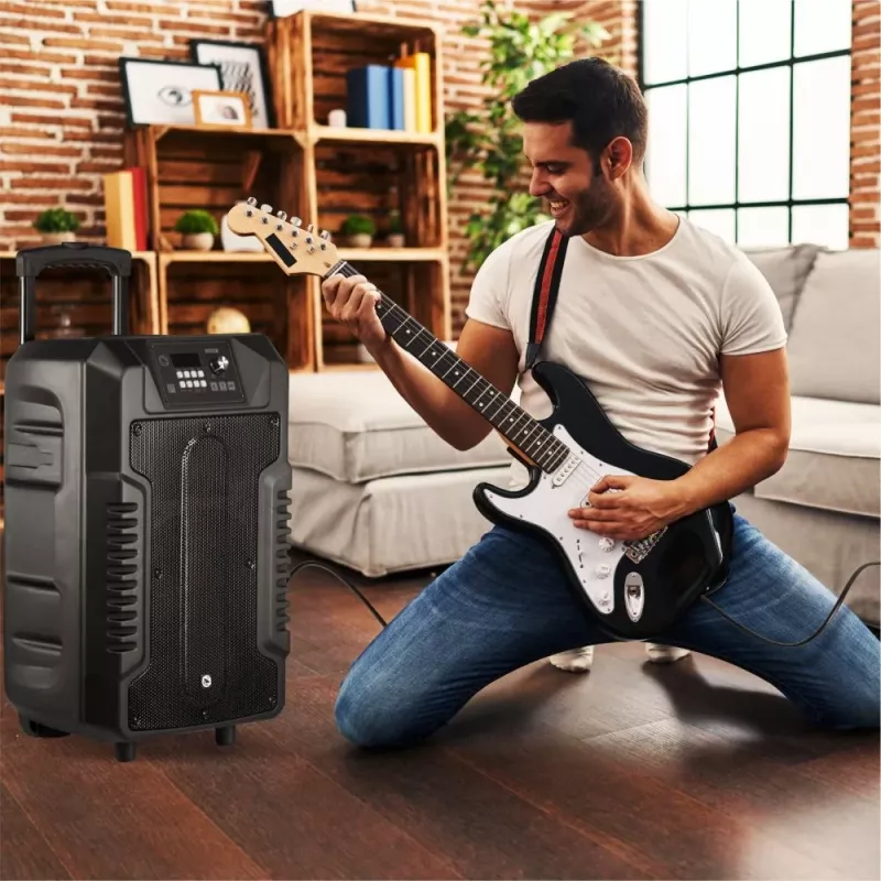 Kaiutin Manta SPK1203B100 100 W