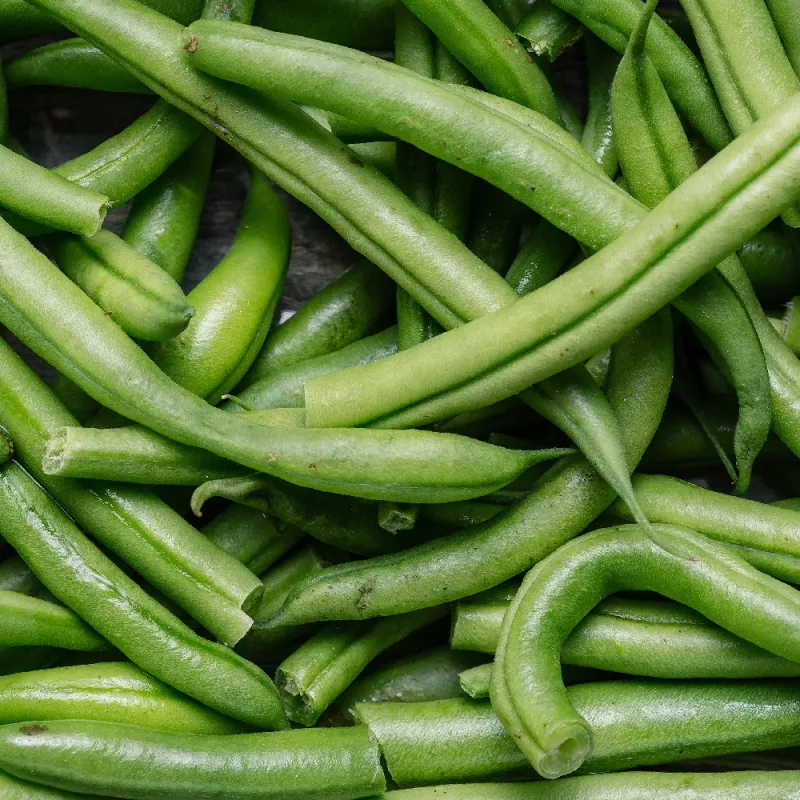 Nomad Green Dwarf papusiemenet, 50g - vihannessiemenet