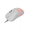 Hiiri White Shark GM-5013 Azrael valkoinen USB