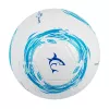Jalkapallo White Shark TB-001 Dribbler 32-paneeli koko 5